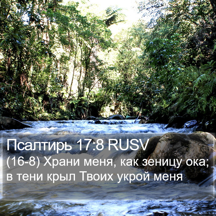 Псалтирь 17:8 RUSV Bible Study