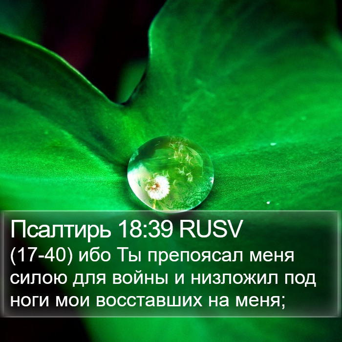 Псалтирь 18:39 RUSV Bible Study