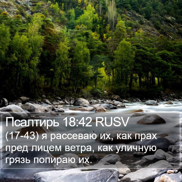 Псалтирь 18:42 RUSV Bible Study