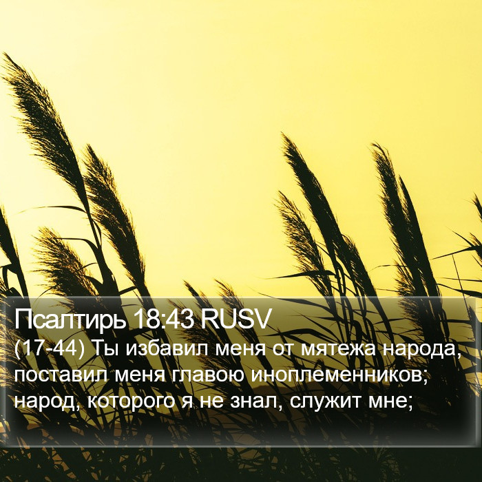 Псалтирь 18:43 RUSV Bible Study