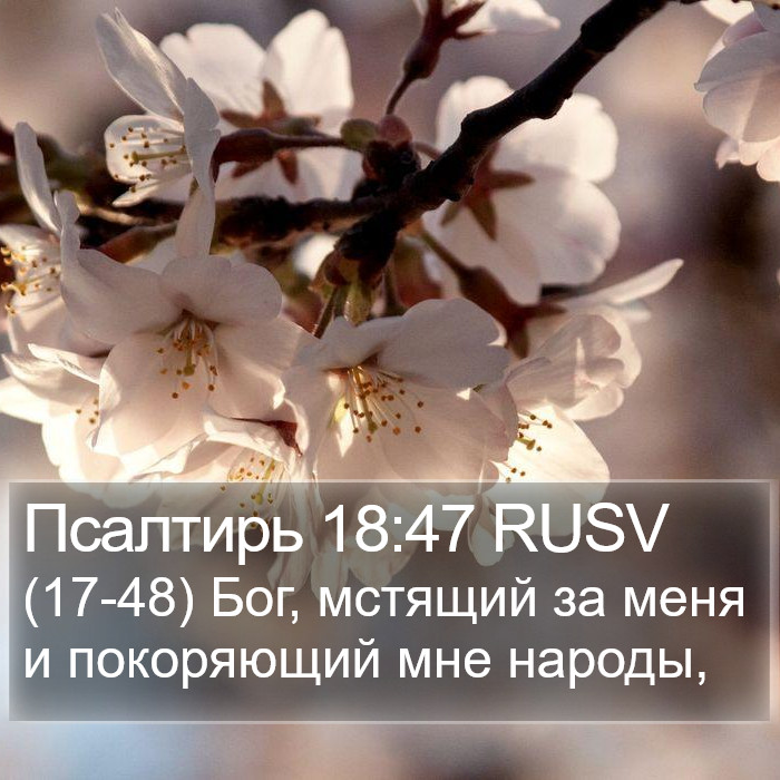 Псалтирь 18:47 RUSV Bible Study