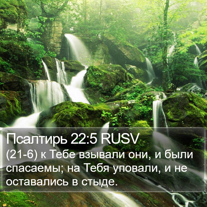 Псалтирь 22:5 RUSV Bible Study