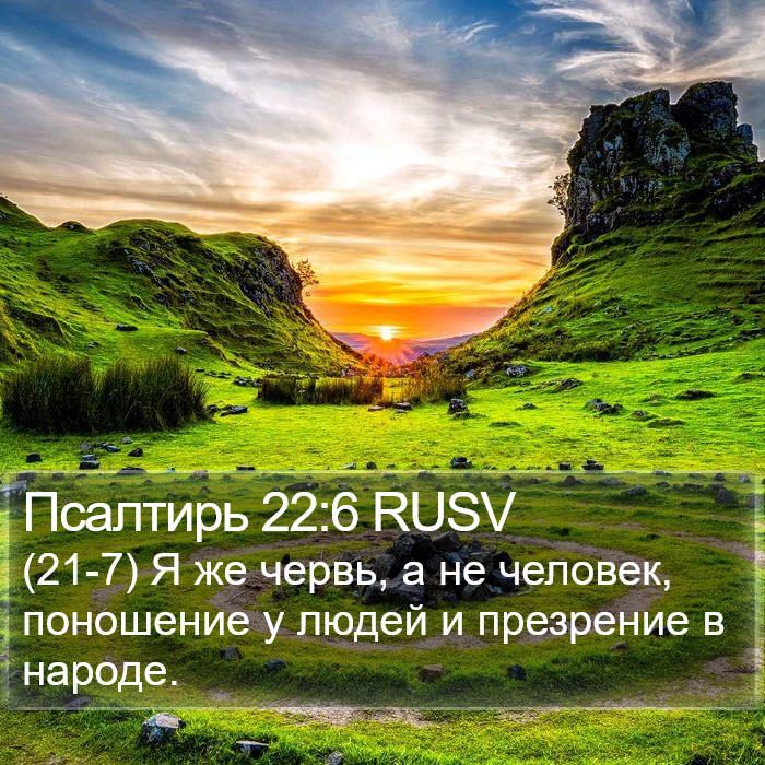 Псалтирь 22:6 RUSV Bible Study