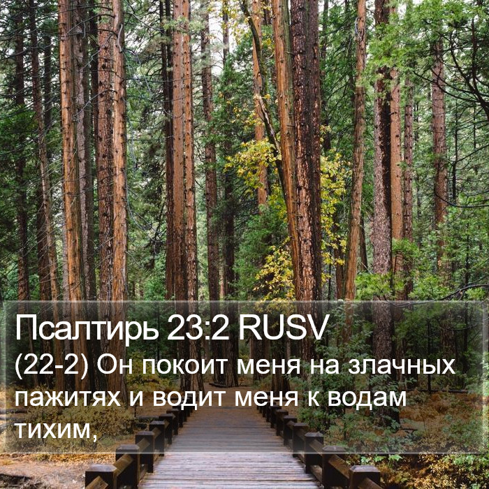 Псалтирь 23:2 RUSV Bible Study