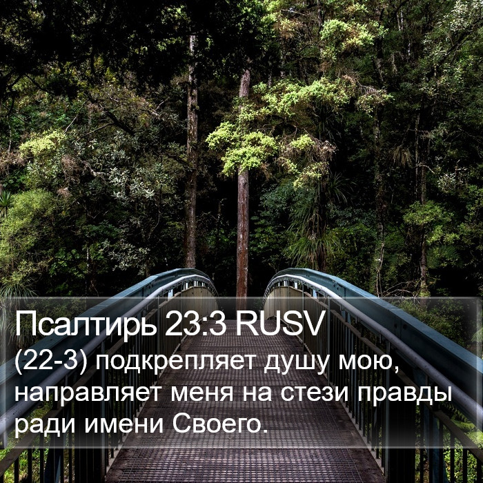 Псалтирь 23:3 RUSV Bible Study