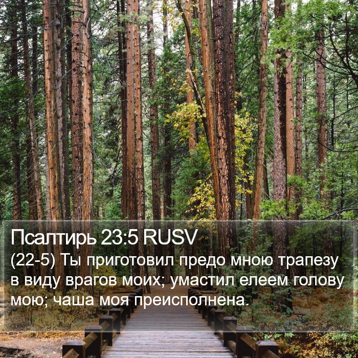 Псалтирь 23:5 RUSV Bible Study