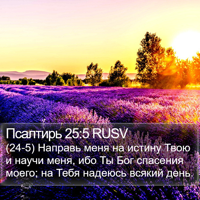 Псалтирь 25:5 RUSV Bible Study