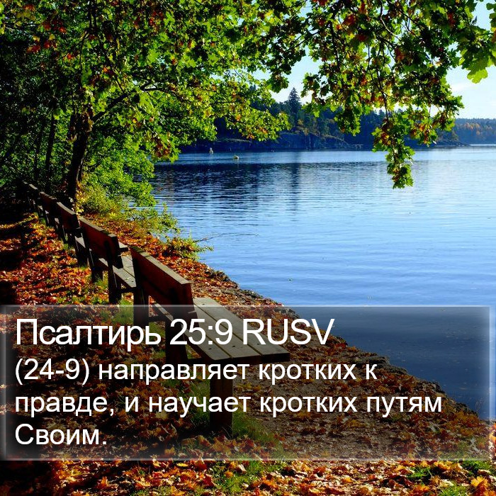 Псалтирь 25:9 RUSV Bible Study