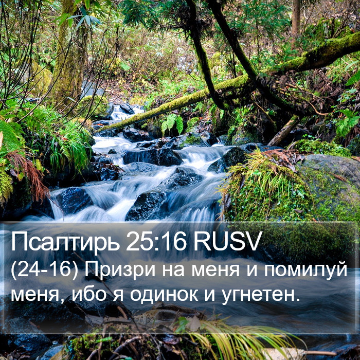 Псалтирь 25:16 RUSV Bible Study