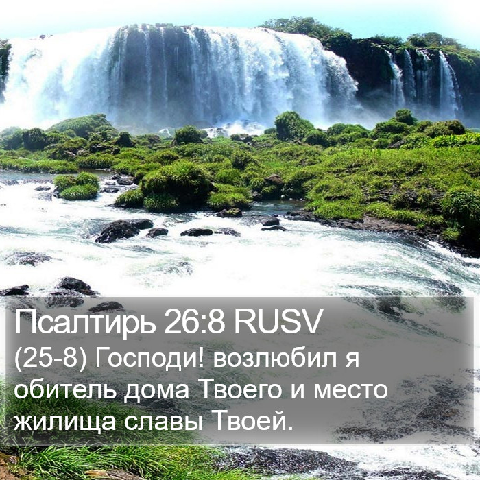 Псалтирь 26:8 RUSV Bible Study