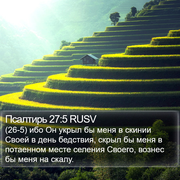 Псалтирь 27:5 RUSV Bible Study