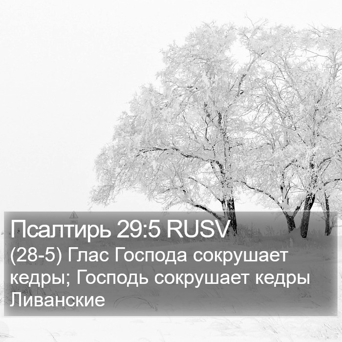 Псалтирь 29:5 RUSV Bible Study