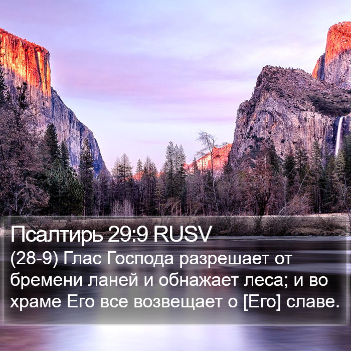 Псалтирь 29:9 RUSV Bible Study