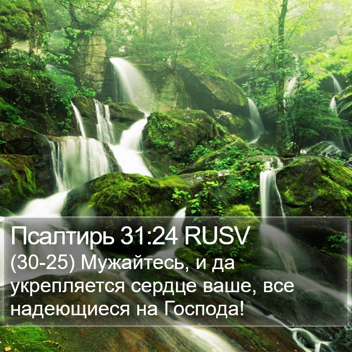 Псалтирь 31:24 RUSV Bible Study
