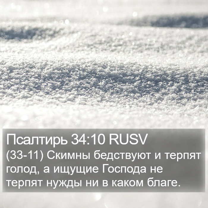 Псалтирь 34:10 RUSV Bible Study