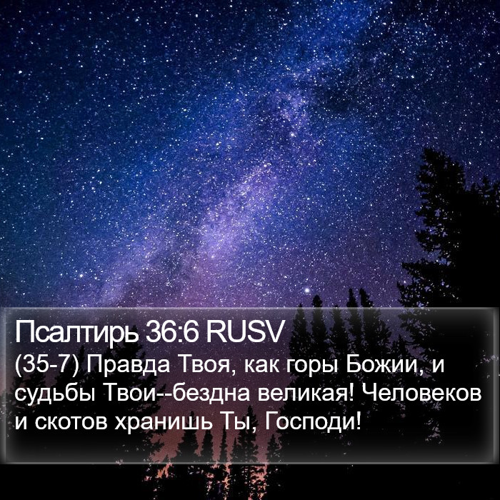 Псалтирь 36:6 RUSV Bible Study