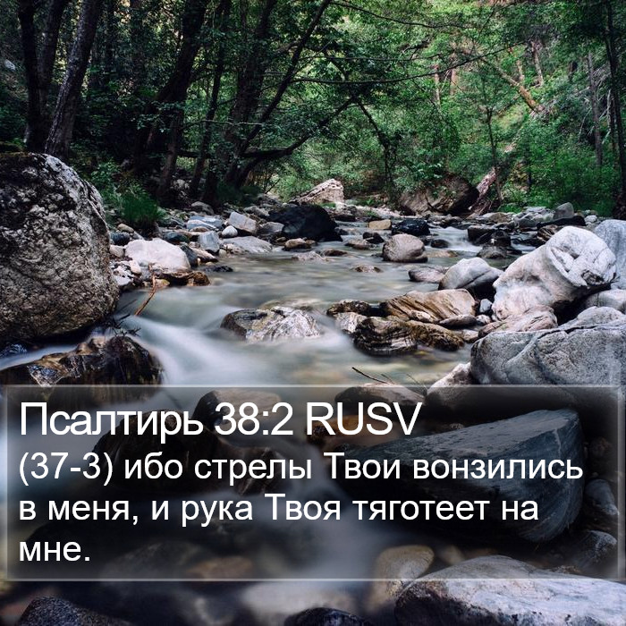 Псалтирь 38:2 RUSV Bible Study