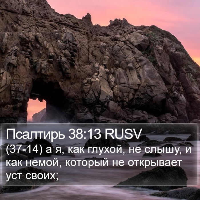 Псалтирь 38:13 RUSV Bible Study
