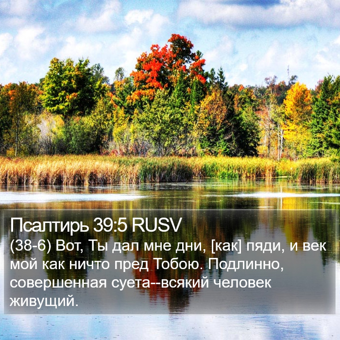 Псалтирь 39:5 RUSV Bible Study