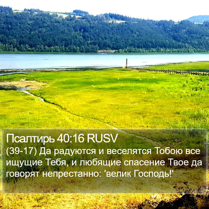 Псалтирь 40:16 RUSV Bible Study