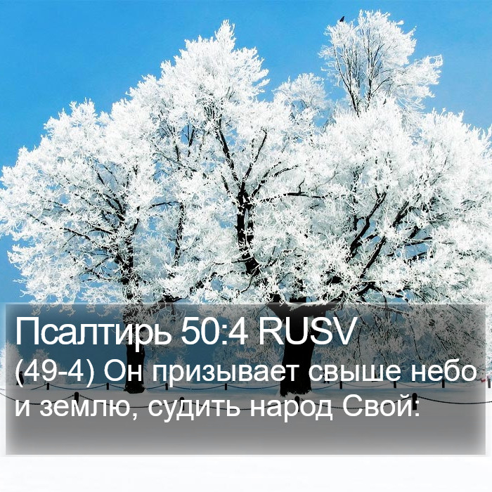 Псалтирь 50:4 RUSV Bible Study