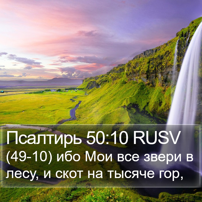 Псалтирь 50:10 RUSV Bible Study