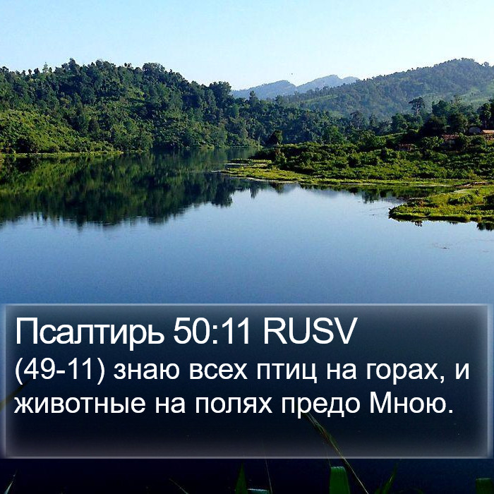 Псалтирь 50:11 RUSV Bible Study