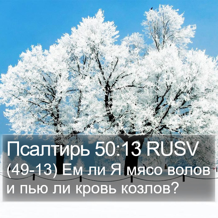 Псалтирь 50:13 RUSV Bible Study