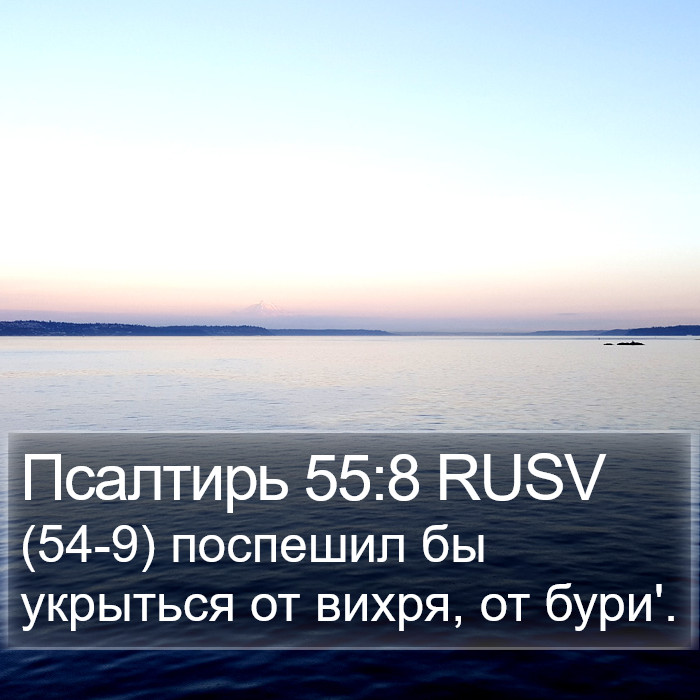 Псалтирь 55:8 RUSV Bible Study