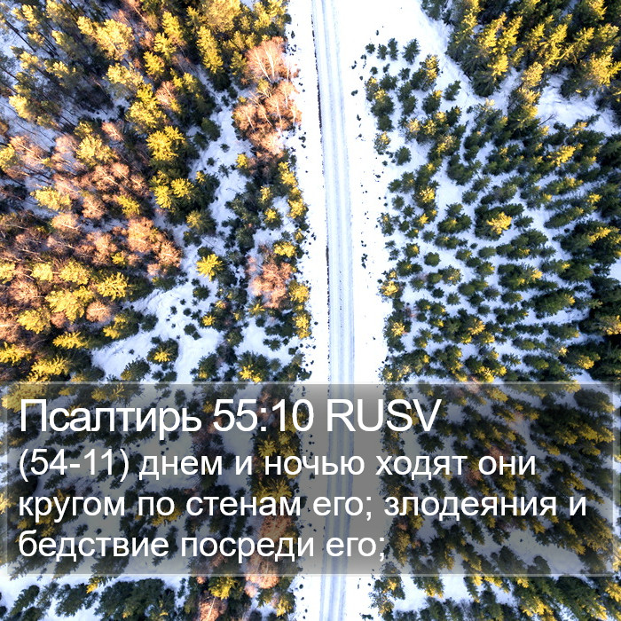 Псалтирь 55:10 RUSV Bible Study