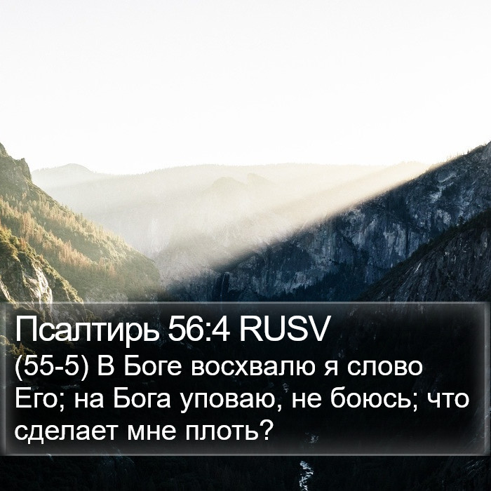 Псалтирь 56:4 RUSV Bible Study