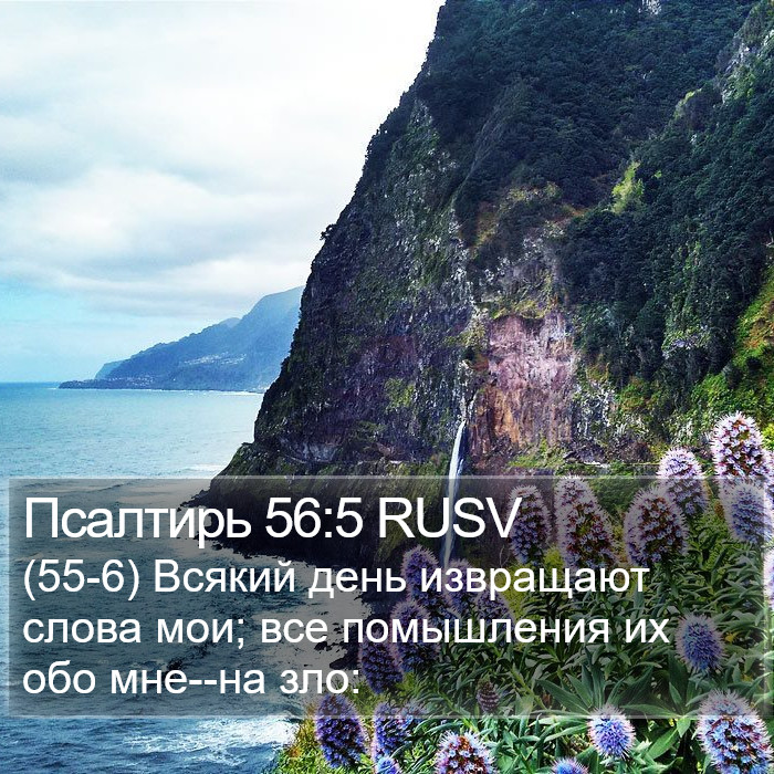 Псалтирь 56:5 RUSV Bible Study