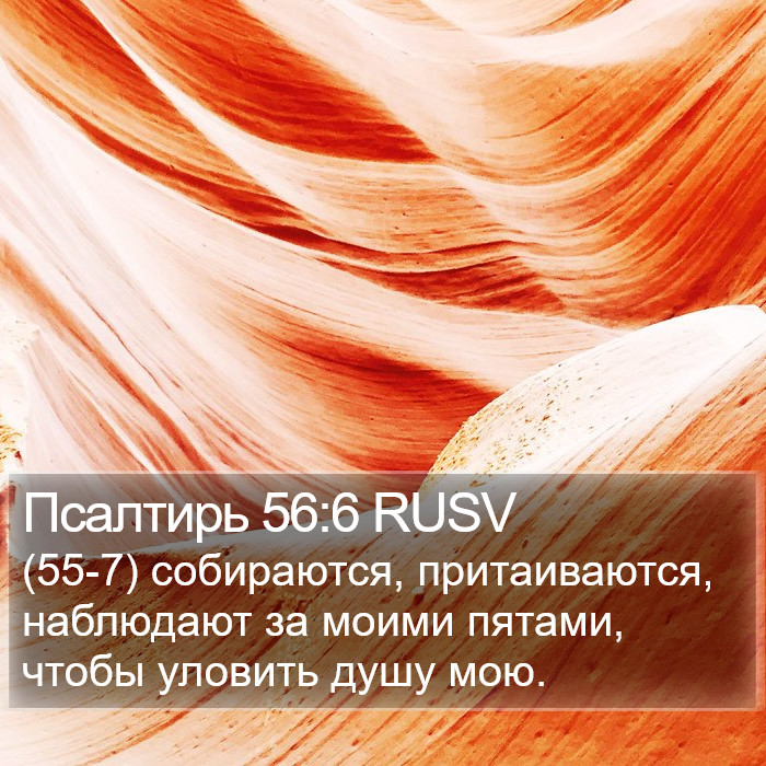 Псалтирь 56:6 RUSV Bible Study