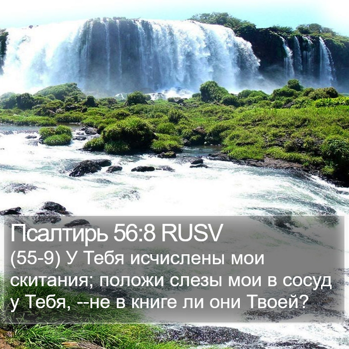 Псалтирь 56:8 RUSV Bible Study