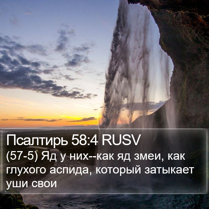 Псалтирь 58:4 RUSV Bible Study