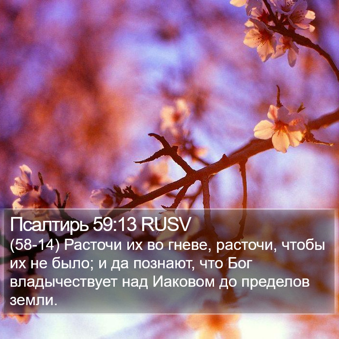 Псалтирь 59:13 RUSV Bible Study