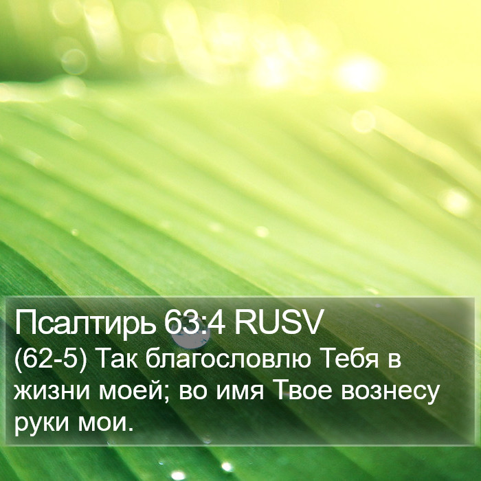 Псалтирь 63:4 RUSV Bible Study