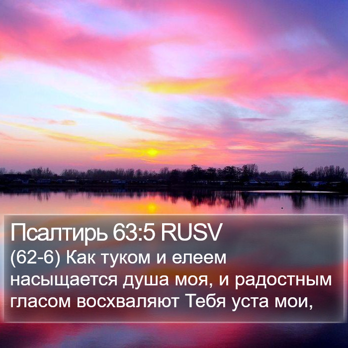 Псалтирь 63:5 RUSV Bible Study