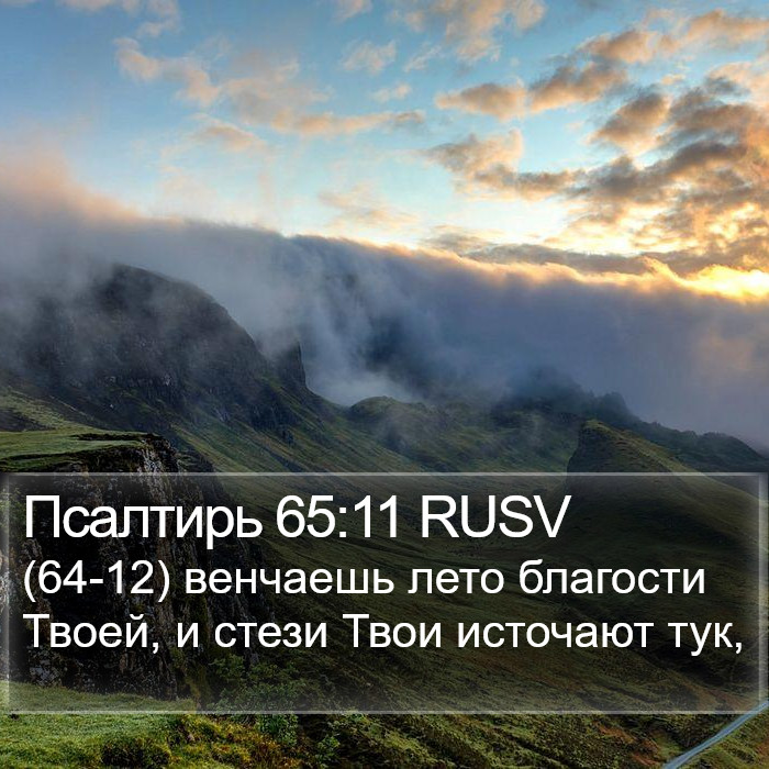 Псалтирь 65:11 RUSV Bible Study