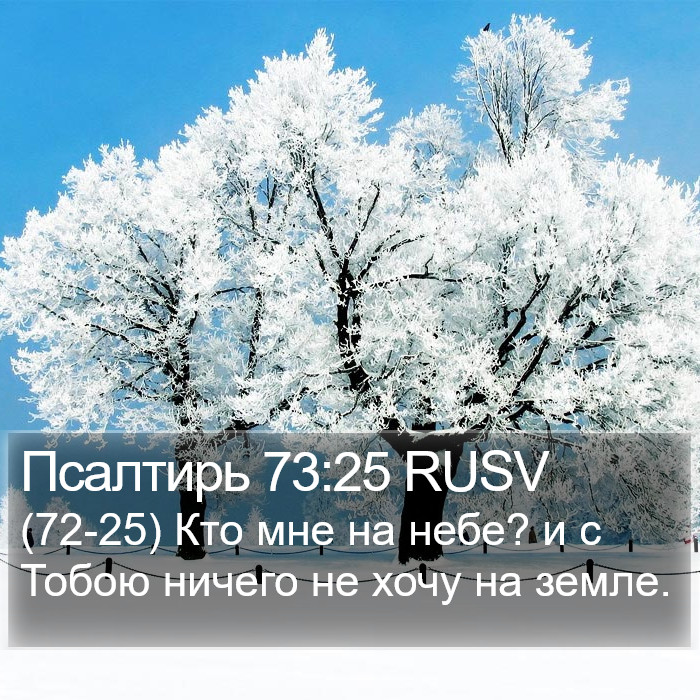 Псалтирь 73:25 RUSV Bible Study