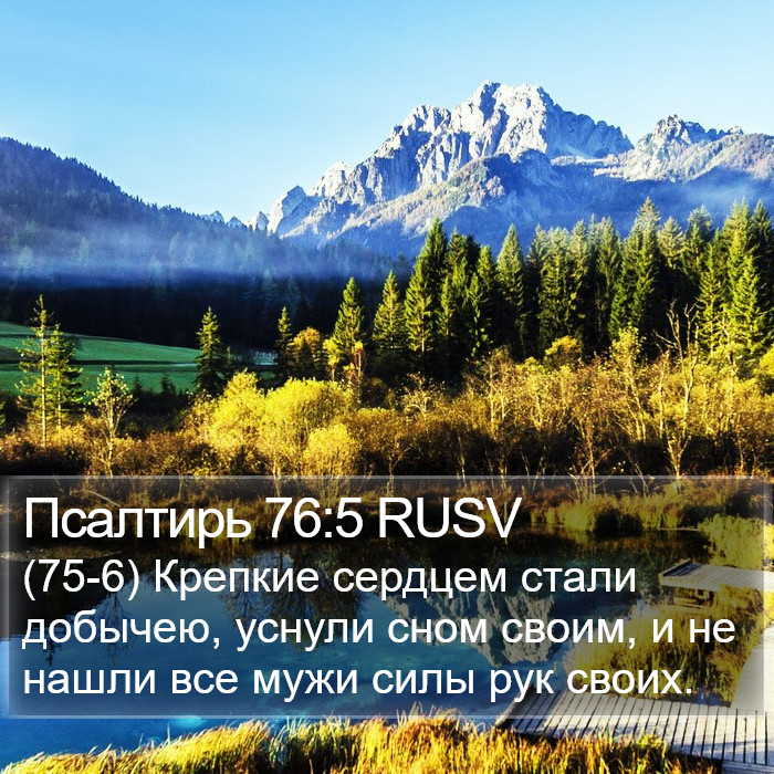 Псалтирь 76:5 RUSV Bible Study