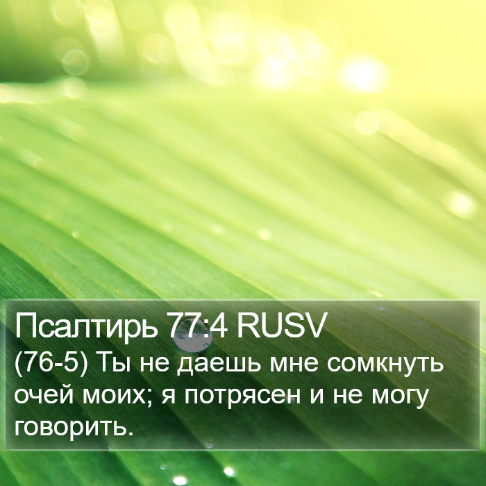 Псалтирь 77:4 RUSV Bible Study