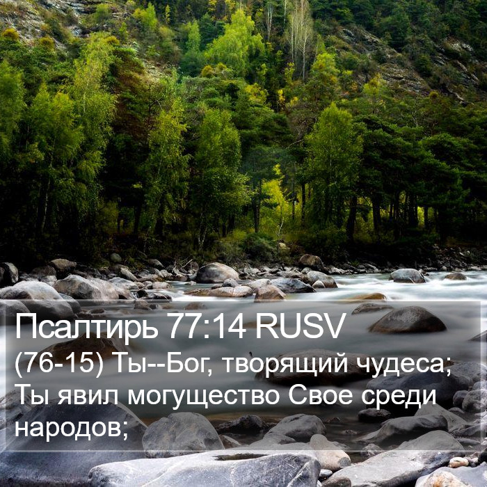 Псалтирь 77:14 RUSV Bible Study