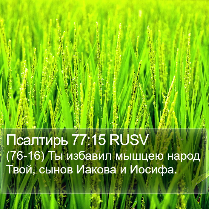 Псалтирь 77:15 RUSV Bible Study