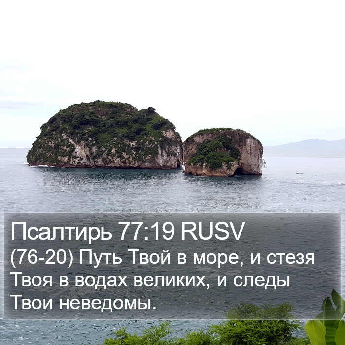 Псалтирь 77:19 RUSV Bible Study