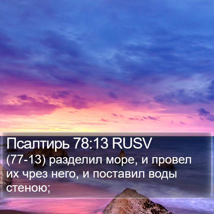Псалтирь 78:13 RUSV Bible Study