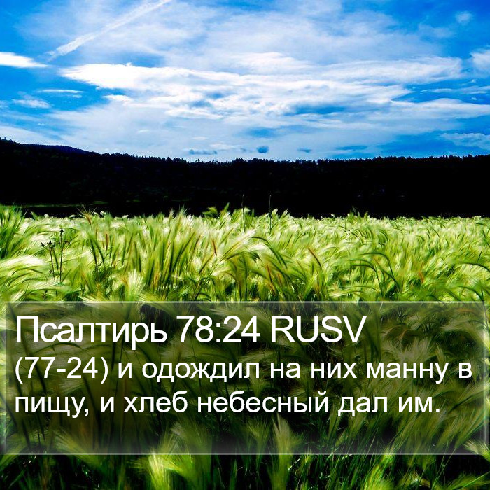 Псалтирь 78:24 RUSV Bible Study
