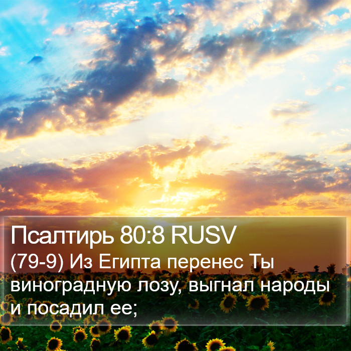 Псалтирь 80:8 RUSV Bible Study