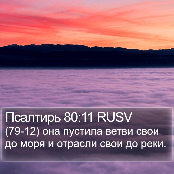 Псалтирь 80:11 RUSV Bible Study