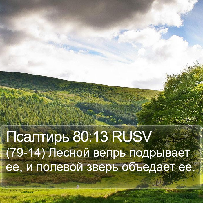 Псалтирь 80:13 RUSV Bible Study